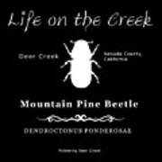 Mountain Pine Beetle White On Black Art Print