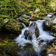 Mountain Stream Art Print