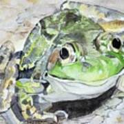 Mr Frog Art Print