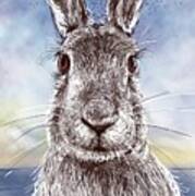 Mr. Rabbit Art Print