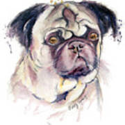 Mr Thinker Pug Watercolor Art Print