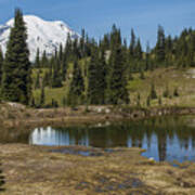 Mt Rainier Reflection Landscape Art Print