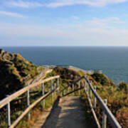 Muir Beach Overlook Art Print