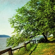 Mulberry On The Hudson Paint Art Print