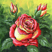 Multi Coloured Rose Sketch Art Print