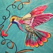 Multicolored Hummingbird Art Print