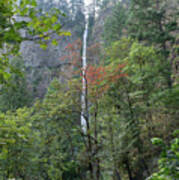 Multnomah Falls In The Columbia River Gorge In Oregon Dsc6529 Art Print