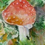 Mushroom In The Field Art Print