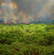 Myakka River Burn Art Print