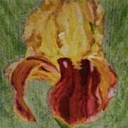 Nanny's Sable Iris Art Print