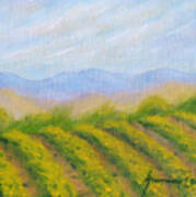 Valley Vineyard Art Print