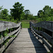 Nature Bridge Art Print