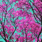 Natures Magic - Pink And Blue Art Print