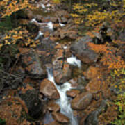 New Hampshire Liberty Gorge Art Print