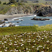 Northern California Coast Scene Art Print