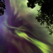 Northern Lights In The City Overhead 02 Art Print