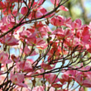 Office Art Prints Pink Flowering Dogwood Trees 18 Giclee Prints Baslee Troutman Art Print