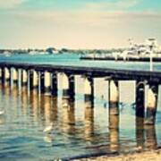 Old Fort Myers Pier With Ibises Art Print