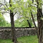 Old Rock Fence Art Print