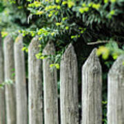 Old Time Fence Art Print
