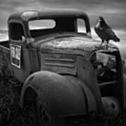 Old Vintage Chevy Pickup Truck With Ravens Art Print