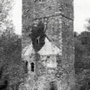 Oldcourt Castle, Bray Art Print