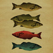 One Fish, Two Fish . . . Art Print