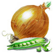 Onion And Peas Art Print