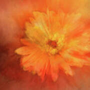 Orange Flower Energy Art Print