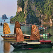 Orange Sails Asian Cruise Vietnam Art Print