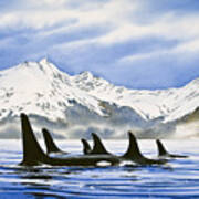 Orca Art Print