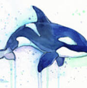 Orca Whale Watercolor Killer Whale Facing Right Art Print
