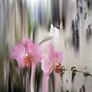 Orchids With Dragonflies Art Print