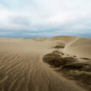 Oregon Dune Wasteland 1 Art Print