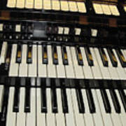 Hammond Organ Keys Art Print