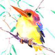 Oriental Kingfisher Art Print