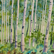 Original Watercolor - Summer Aspen Forest Art Print