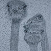 Ostrich Umbrella Art Print