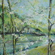 Ouachita River In Spring Art Print