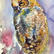 Owl At Night Ii Art Print