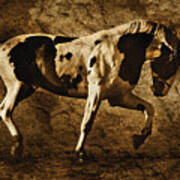 Paint Horse Art Print