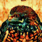 Painted Burrowing Owl Art Print