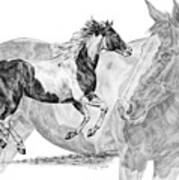 Painted Passion - Paint Horse Art Print Art Print
