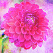 Painted Pompom Dahlia With The Works Art Print