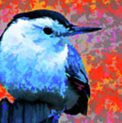 Painted White Breasted Nuthatch Art Print