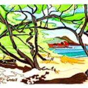 Paipu Beach - Maui Art Print