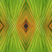 Palm Abstract Iv Art Print