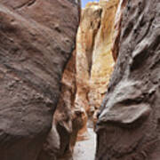 Palm Slot Canyon Art Print