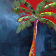 Palm Tree- Art By Linda Woods Art Print