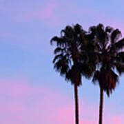 Palm Trees Silhouette At Sunset Art Print